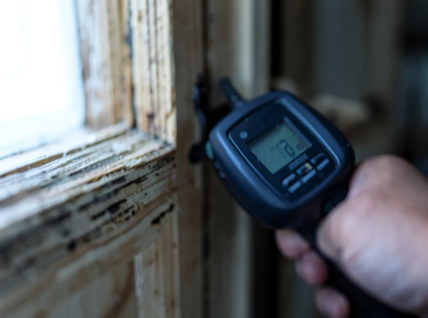 Moisture Inspection And Documentation in Mount Vernon, WA
